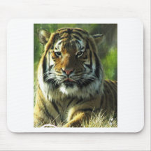 Tiger Curse Mouse Pads