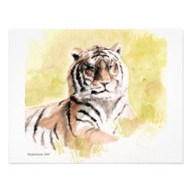 tiger custom invitations
