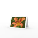 Tiger Daylily Greeting Card