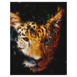Tiger emerging full color flyer