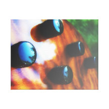 Tiger eye bass pickup knobs close up stretched canvas prints