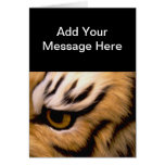 Tiger Eye Greeting Cards