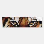Tiger Eyes Bumper Stickers