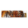 TIGER EYES Wildlife Supporter Bumper-sticker Bumper Sticker