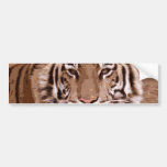 Tiger Face Bumper Stickers