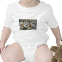 TIGER FIGHT - ACTION PHOTOGRAPH TEE SHIRTS