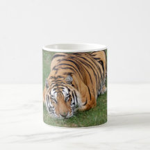 Tiger Friends-001 Mugs