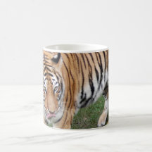 Tiger Friends-011 Coffee Mug