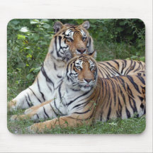 tiger-friends-b-1 mousepads