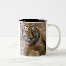 Tiger Grooming Mug