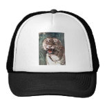 Tiger Hats