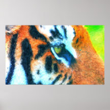 « Tiger » - Haute Définition - Exclusif Poster