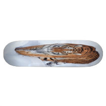 Tiger in Ice Skateboard