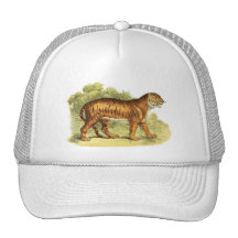 TIGER IN JUNGLE HATS
