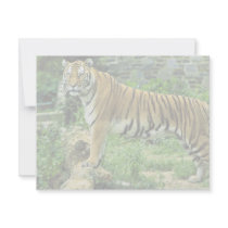Tiger Custom Invites