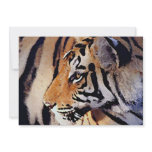 Tiger Invitation