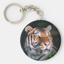 Tiger Key Chains