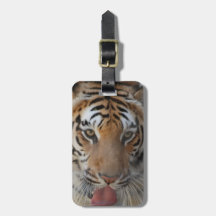 Tiger Kisses Luggage Tag