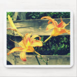 Tiger Lilies Mouse Pads