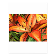 Tiger Lilies Post Cards