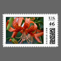 Tiger Lilies Postage Stamps stamps