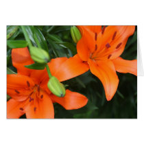 Tiger Lillies Card