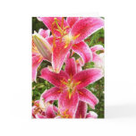 Tiger Lily Bouquet cards