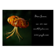 Tiger Lily business card