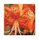 'Tiger Lily' Refrigerator Magnet