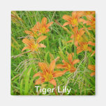 Tiger Lily Magnet