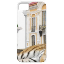Tiger Love iPhone 5 Cases