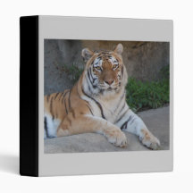 Tiger Love Vinyl Binder