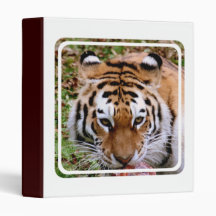 Tiger Markings  Binder