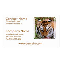 Tiger Markings Business Cards