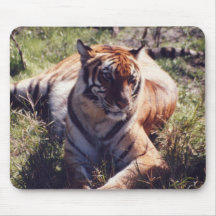 Tiger Mouse Pads