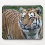 Tiger Mousemat