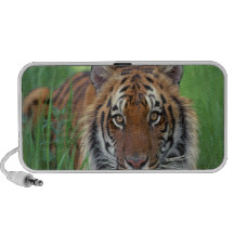 Tiger Notebook Speaker