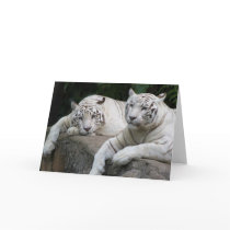 Tiger Pair Greeting Cards