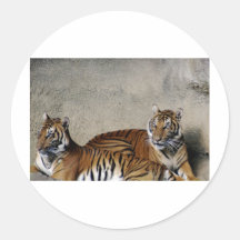 TIGER PAIR STICKERS