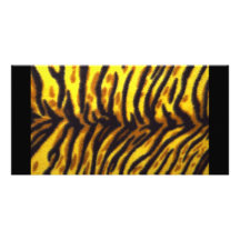 Tiger Pattern Photo Cards