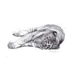 Tiger - Pen and Ink t-shirts