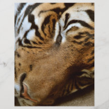 Tiger Personalized Flyer