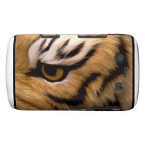 Tiger Photo  Blackberry Bold Case