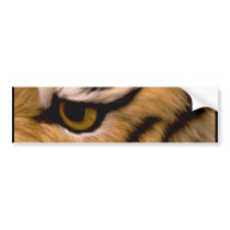 Tiger Photo Bumper Sticker
