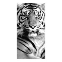 Tiger_ Photo Card