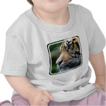 Tiger Picture  Baby T-Shirt