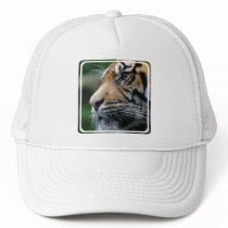 Tiger Picture Baseball Hat
