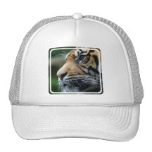 Tiger Picture Baseball Hat