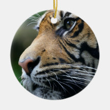 Tiger Picture Ornament