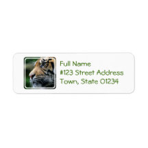 Tiger Picture Return Address Mailing Label